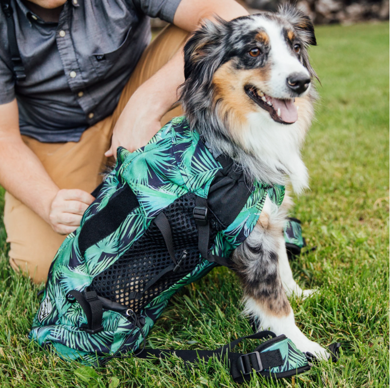 K9 SPORT SACK Dog Backpack Carrier AIR 2-3